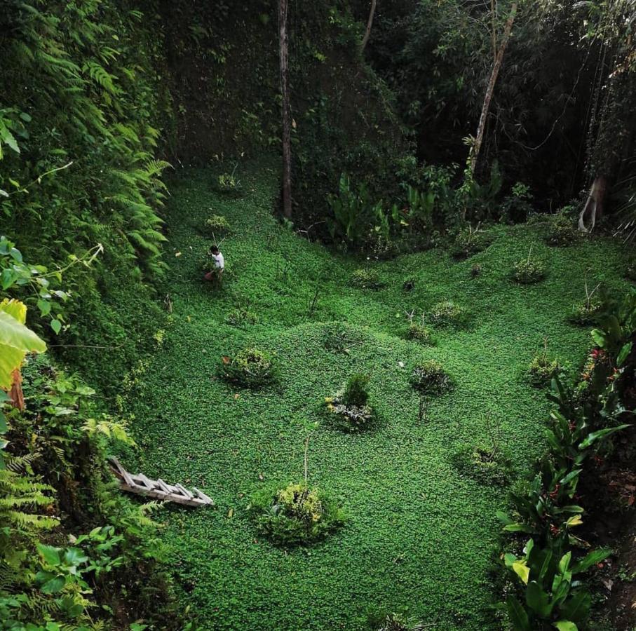 The Jungle Villa Ubud Extérieur photo