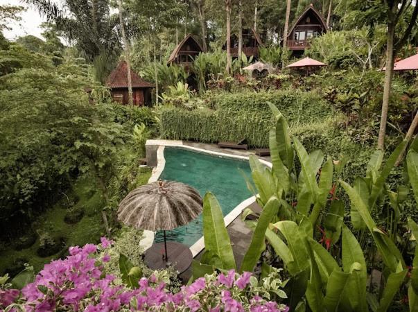 The Jungle Villa Ubud Extérieur photo