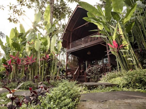The Jungle Villa Ubud Extérieur photo