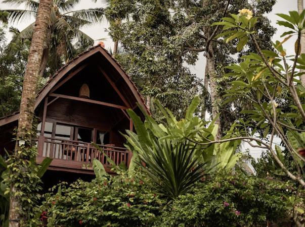 The Jungle Villa Ubud Extérieur photo