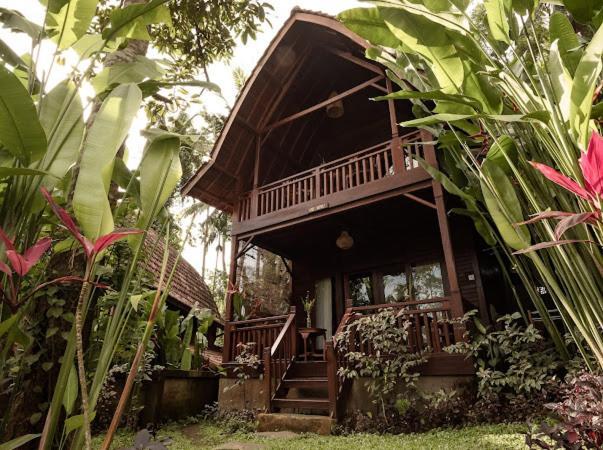The Jungle Villa Ubud Extérieur photo